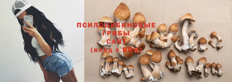 hydra рабочий сайт  Бирюсинск  Псилоцибиновые грибы MAGIC MUSHROOMS  где купить наркоту 